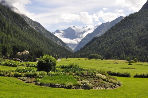 Il Parco del Gran Paradiso, l'area protetta più antica d'Italia